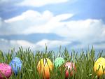 Click image for larger version. 

Name:	easter-pic.jpg 
Views:	43 
Size:	52.7 KB 
ID:	42293