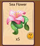 Click image for larger version. 

Name:	Sea Flower front.jpg 
Views:	31 
Size:	14.4 KB 
ID:	53045