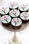 Click image for larger version. 

Name:	12550160-cherry-blossom-cupcakes.jpg 
Views:	71 
Size:	54.0 KB 
ID:	53820