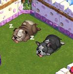 Click image for larger version. 

Name:	Sleeping Terrier C.jpeg 
Views:	15 
Size:	230.0 KB 
ID:	69506