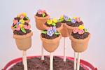 Click image for larger version. 

Name:	flower-pot-cake-pops-045.jpg 
Views:	42 
Size:	33.1 KB 
ID:	47214