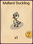 Click image for larger version. 

Name:	Mallard Duckling A.PNG 
Views:	17 
Size:	263.8 KB 
ID:	59898