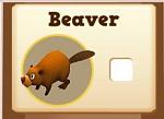 Click image for larger version. 

Name:	mybeaver.jpg 
Views:	31 
Size:	7.4 KB 
ID:	42296