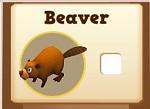 Click image for larger version. 

Name:	mybeaver.jpg 
Views:	33 
Size:	7.4 KB 
ID:	42296