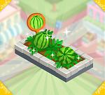 Click image for larger version. 

Name:	WatermelonGarden.jpg 
Views:	50 
Size:	1.19 MB 
ID:	63596