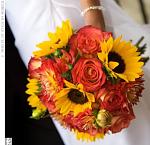 Click image for larger version. 

Name:	Bouquets.jpg 
Views:	48 
Size:	23.2 KB 
ID:	15505